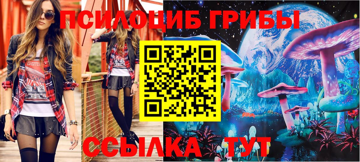 Псилоцибиновые грибы Cubensis  купить наркоту  Калач-на-Дону  Вход с VPN 